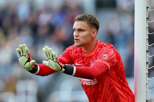 NEWCASTLE UPON TYNE, ENGLAND - OCTOBER 19: Bart Verbruggen of Brighton & Hove Albion gestures during the Premier League match between Newcastle United FC and Brighton & Hove Albion FC at St James' Park on October 19, 2024 in Newcastle upon Tyne, England.